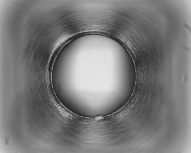 X0000098091072200804181229