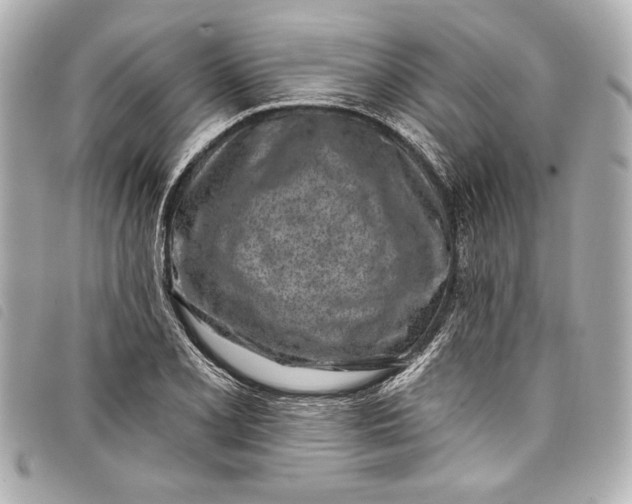 X0000098091077200804181229