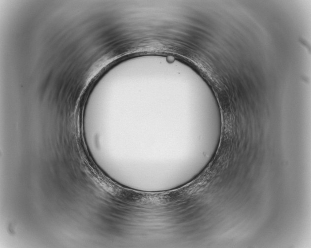 X0000098091078200804181229