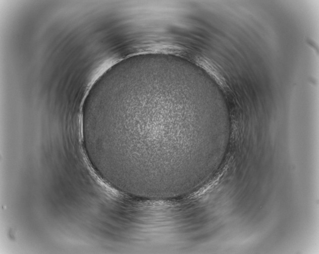 X0000098091079200804181229
