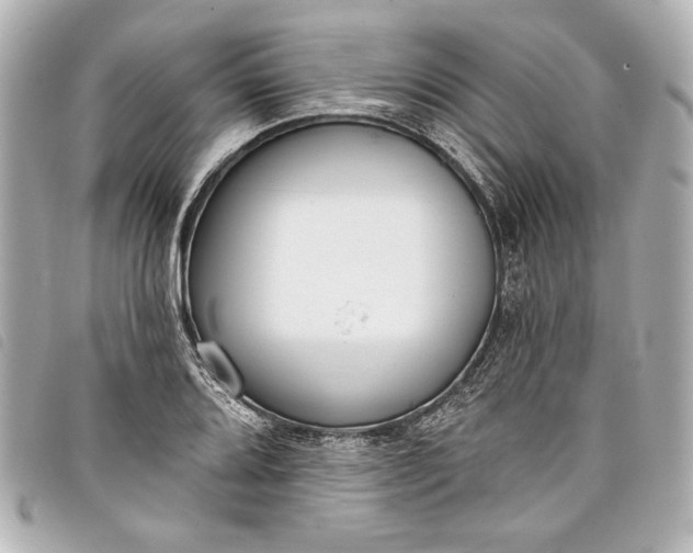 X0000098091080200804181229
