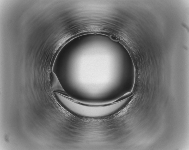 X0000098091081200804181229