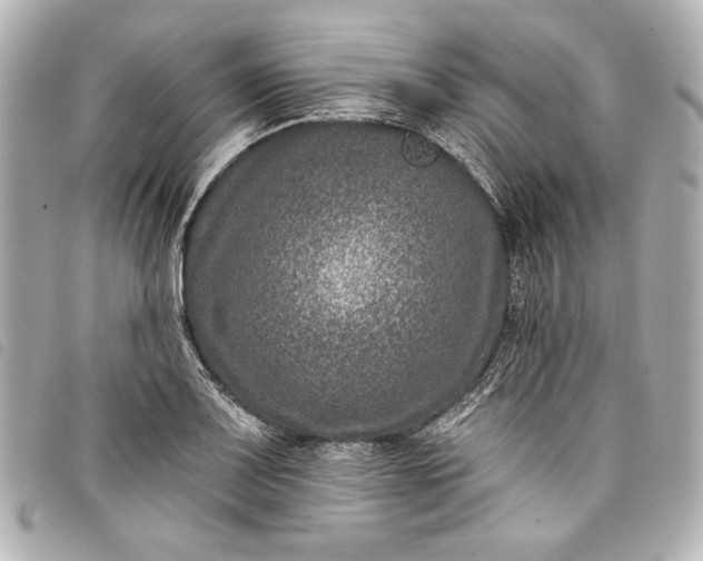 X0000098091083200804181229