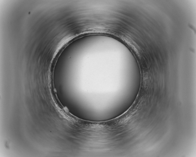 X0000098091085200804181229