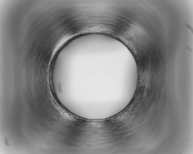 X0000098091086200804181229