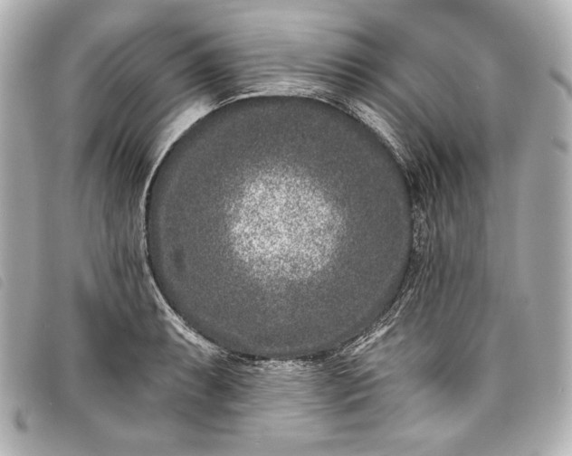 X0000098091087200804181229