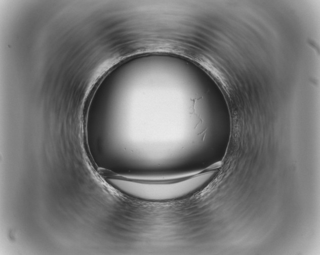 X0000098091088200804181229