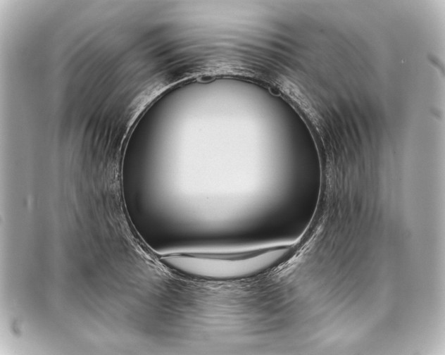 X0000098091089200804181229