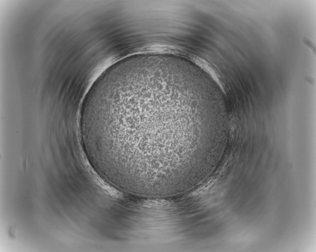 X0000098091091200804181229