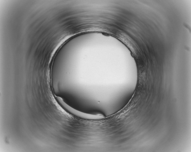 X0000098091092200804181229