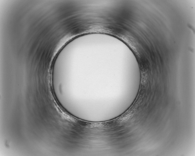 X0000098091094200804181229