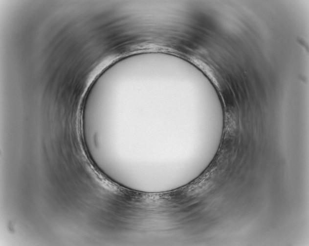 X0000098091098200804181229