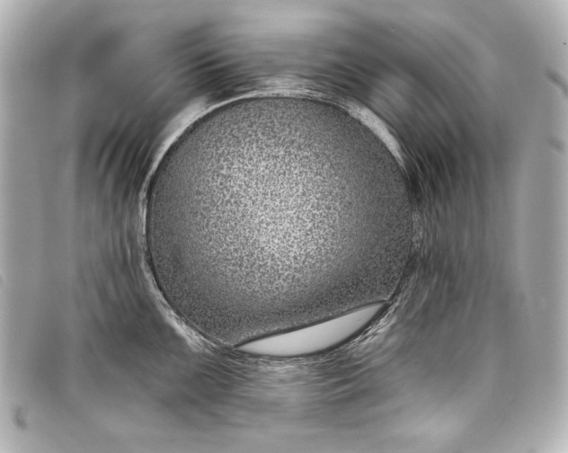X0000098091099200804181229