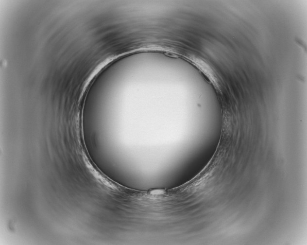 X0000098091100200804181229