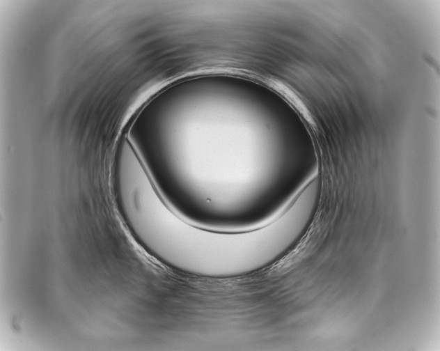X0000098091101200804181229