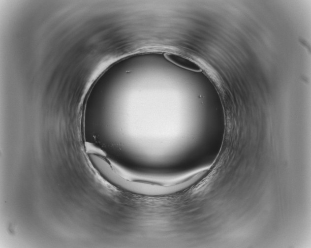 X0000098091102200804181229