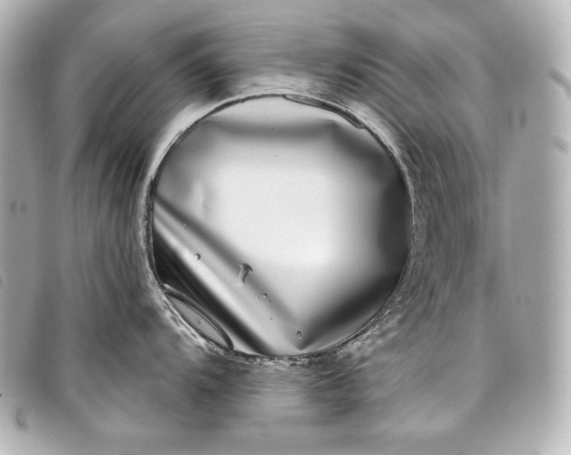 X0000098091104200804181229
