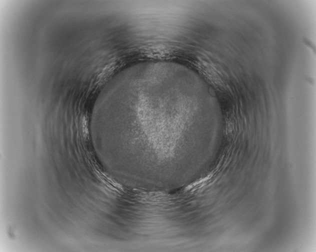 X0000098091106200804181228