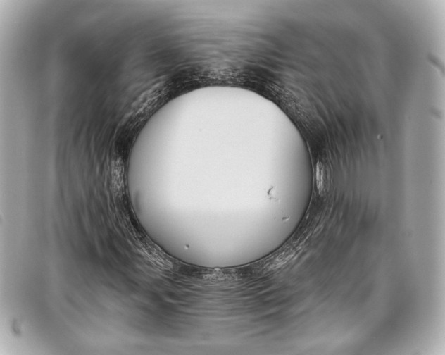 X0000098091107200804181228
