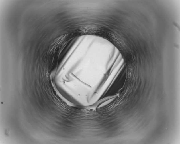 X0000098091108200804181228