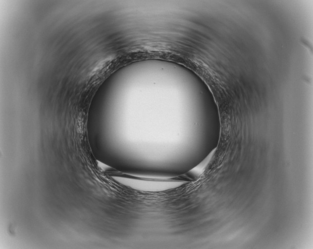 X0000098091110200804181228