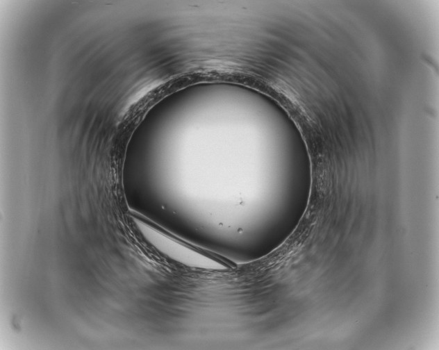 X0000098091112200804181228