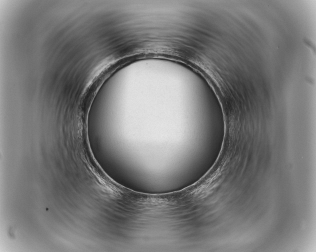X0000098091115200804181228