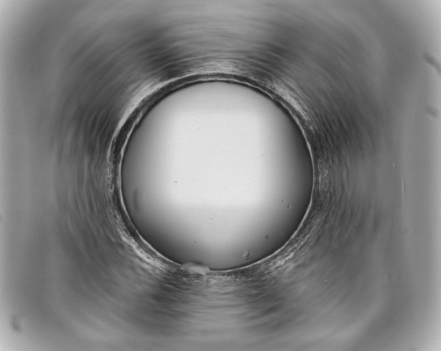 X0000098091116200804181228