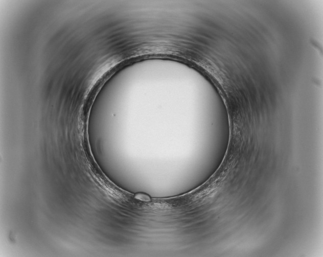 X0000098091119200804181228