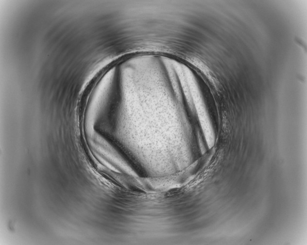 X0000098091120200804181228