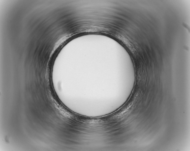 X0000098091122200804181228