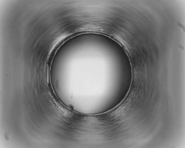 X0000098091123200804181228