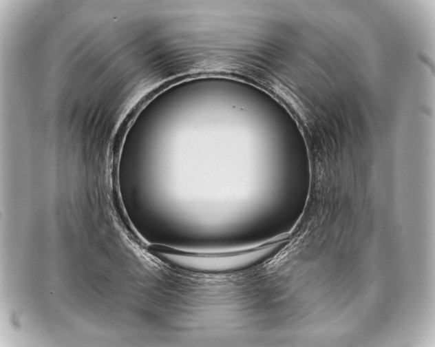 X0000098091124200804181228