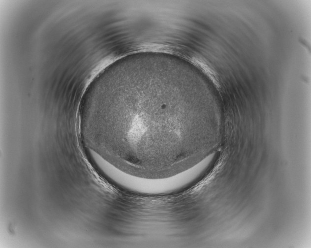 X0000098091125200804181228