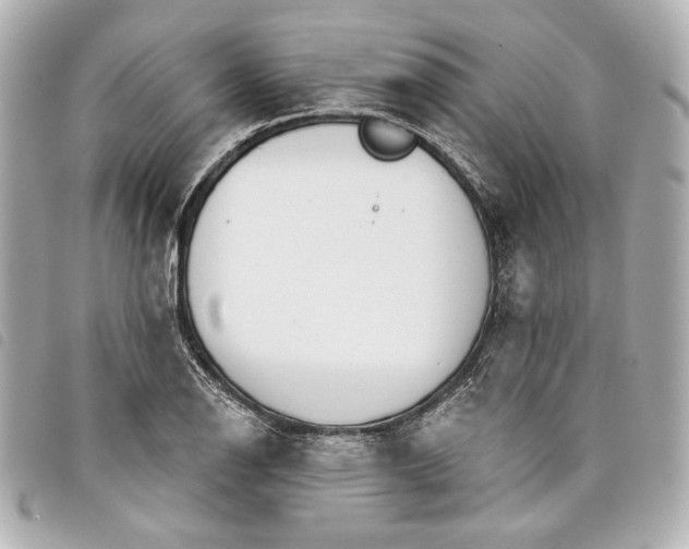 X0000098091126200804181229
