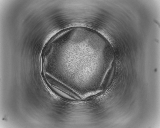 X0000098091127200804181229