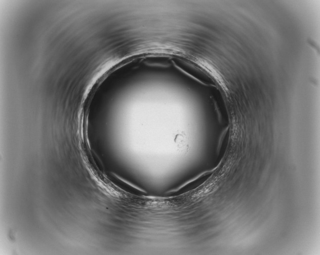X0000098091128200804181229