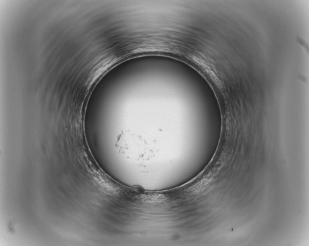 X0000098091129200804181229