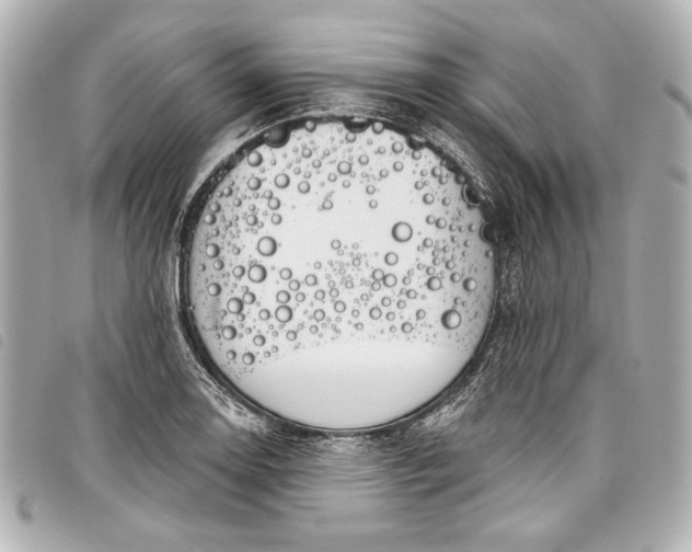 X0000098091130200804181229