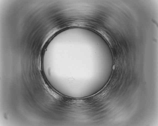 X0000098091131200804181229