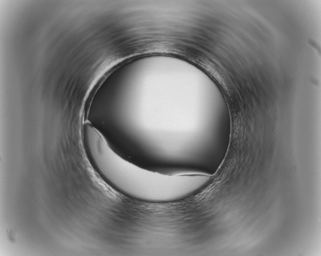 X0000098091132200804181229