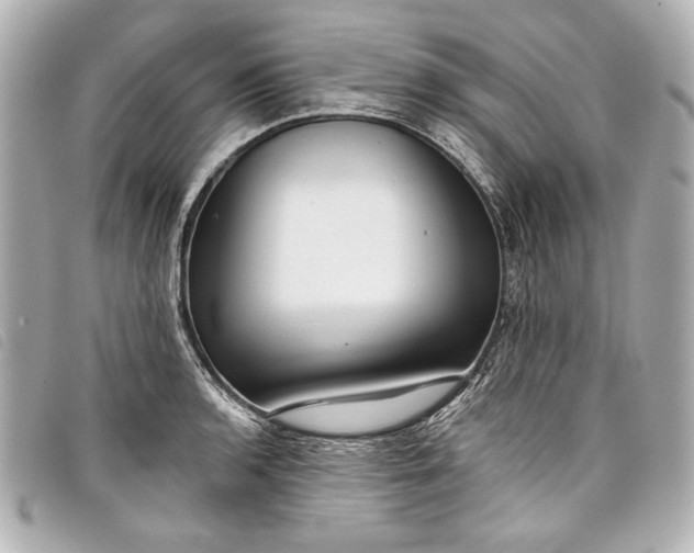 X0000098091136200804181229
