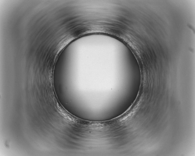 X0000098091137200804181229