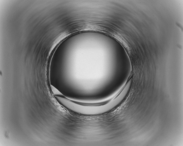 X0000098091138200804181229