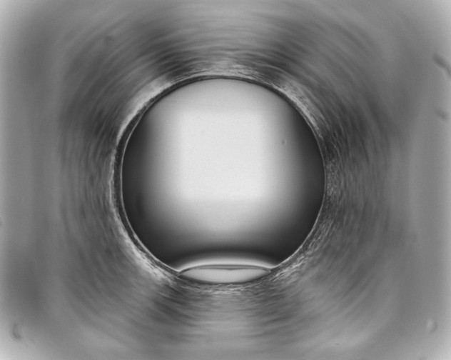 X0000098091139200804181229
