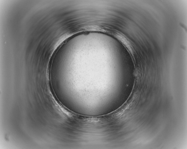 X0000098091141200804181229