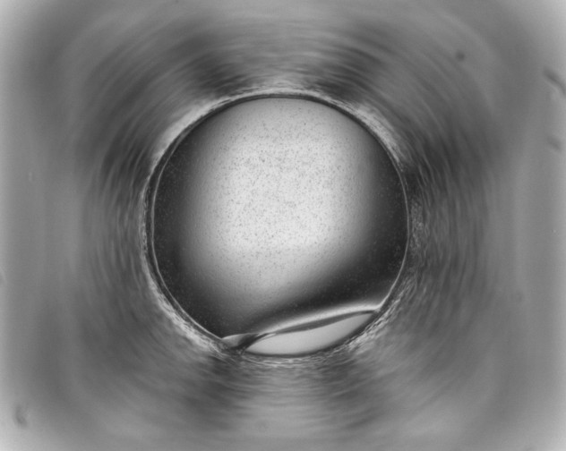 X0000098091142200804181229