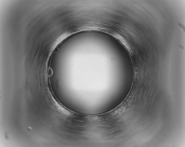 X0000098091143200804181229