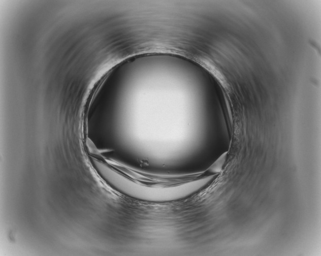 X0000098091144200804181229
