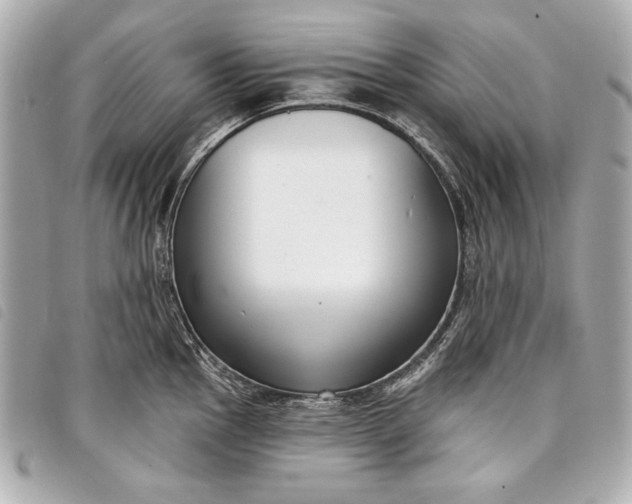 X0000098091145200804181229